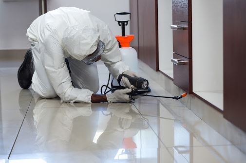 pest control service